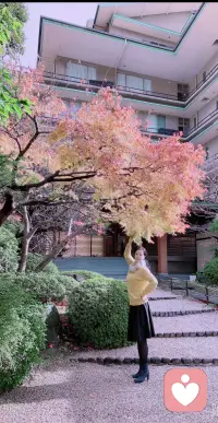 友友们，今天4月23日世界读书日。以书为友受益一生；以人为友纠结终生。读书吧世界就在眼前，它是心灵的源泉。行为是思想决定的思想就是你的认知，它左右着你的情绪，知心姐善于理顺它…．配图