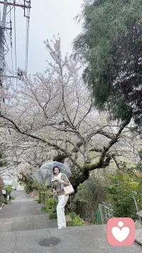 世上最重要的关系是自己和自己的关系，收拾自己的心情以此认识自己。聪明的做法：改变能改变的接受不能改变的，这虽然很辛苦但绝对是一股潜在的能力。知心姐善于恢复你的自信挖掘出潜力还……．配图