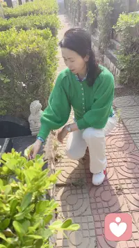 回了趟故乡北京又去见睡在长城脚下的亲人，感悟深深。人生就是来地球上暂时坐一坐体验一下酸甜苦辣何必当真呢？爱自己才是活着的意义，不要物化钝化弱化自己。姐姐也想听听你说的…配图