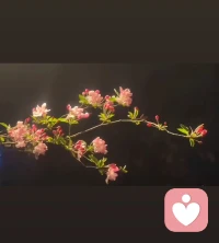 生活或许会给你很多不如意，但你一定要有一颗茹茹不动的心，不让自己沉迷于某种情绪中太久时间，因为拐个弯就能看到不一样的风景，加油，努力生活中的大家！配图