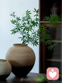 生活中遇到一些烦心事一定不要自我怀疑，自我否定，你一定要相信自己特别好，虽然也会有缺点，可谁能没有缺点呢，生活本来就不会事事如意的，成长不就是在一次次磨难中，不断开花吗？加油，你是最棒的！配图