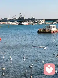 无论你遇到什么不顺心的事，一定不要自责，不要抱怨，记住一句话“事出必有因”，要静下心来，该解决就去解决，该改变就去改变……配图