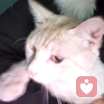 注入立春的头像