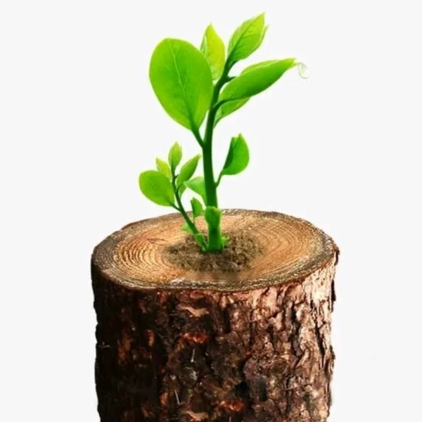 娟姐心理（情感情绪）