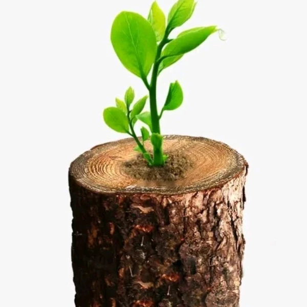 娟姐心理（情感情绪）