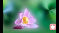 余生漫漫，别被错的人拖垮自己