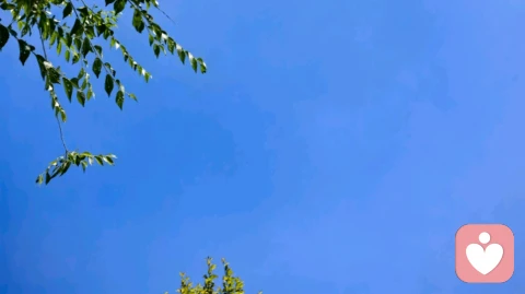 有偿付出，是智慧太太的终身必修课