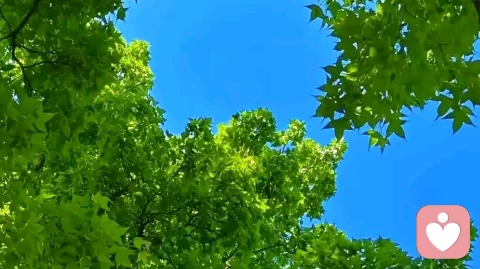 为何中年男人的恋爱脑,比年轻人更极致疯狂