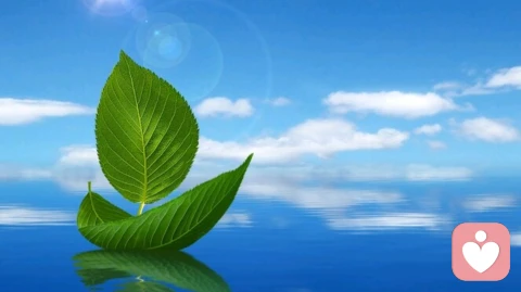 焦虑,其实是怕出来的