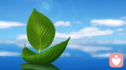 中年心动，清醒自愈，不负遇见