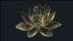 容易焦虑的人，从来都是自卑与上进的结合体