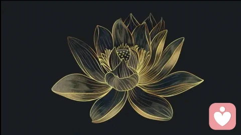 容易焦虑的人，从来都是自卑与上进的结合体
