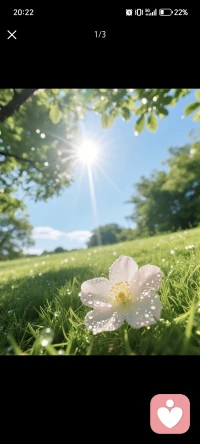 设立边界不是自私，是尊重自己，也尊重关系，是智慧的爱