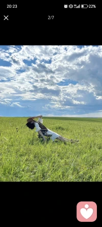 代际创伤的传递，往往不是因为不爱，而是因为我们太想爱，却又被困在旧有的创伤模式里，动弹不得。