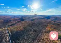 ✨ 不必逼自己“时刻正能量”，允许情绪流动，才是心理强大的开始
    我们总被要求“要乐观”“别矫情”“加油挺过去”，好像负面情绪是一种过错，好像脆弱就是不够坚强。但其实，焦虑、难过、疲惫、emo，都是我们内心的“情绪信号”——它不是来打败我们的，是来提醒我们：该停下来，抱抱自己了。就像我们接待过的一位来访者，每天逼着自己做到“完美”，工作出错就自我否定，情绪崩溃时也硬撑着说“我没事”，最后反而陷入了严重的内耗，直到学会允许自己“不够好”，才慢慢找回了状态。
    请一定记得：不必强迫自己立刻好起来，不必假装开心迎合所有人。难过时就痛痛快快哭一场，焦虑时就给自己放10分钟“摆烂时间”，不用苛责自己“不够给力”，也不用觉得“脆弱很丢人”——真正的勇敢，是敢于直面自己的情绪。
    心理的健康，从来不是“没有负面情绪”，而是学会与情绪和平共处：
✅ 不压抑：负面情绪就像洪水，堵不如疏，允许它出现，才不会被它反噬；
✅ 不内耗：别反复纠结“我为什么会这样”，接纳自己的不完美，就是治愈的开始；
✅ 懂自愈：累了就歇一歇，不必追求“快速痊愈”，慢慢来，每一步都是在靠近阳光。
    生活本就有起有伏，情绪也有高有低，这再正常不过。所谓“给力”，从来不是硬扛所有风雨，不是逼自己成为无坚不摧的超人，而是在脆弱时，依然愿意给自己一点耐心；在迷茫时，依然相信自己有自愈的力量；在情绪低落时，依然能温柔地对自己说“没关系，我可以慢慢来”。
    愿我们都能卸下“必须正能量”的枷锁，学会温柔待己，允许情绪有出口，允许自己慢慢来，不慌不忙，向阳生长🌱 你值得被好好对待，包括被你自己。配图