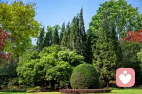 舒畅心情，配图