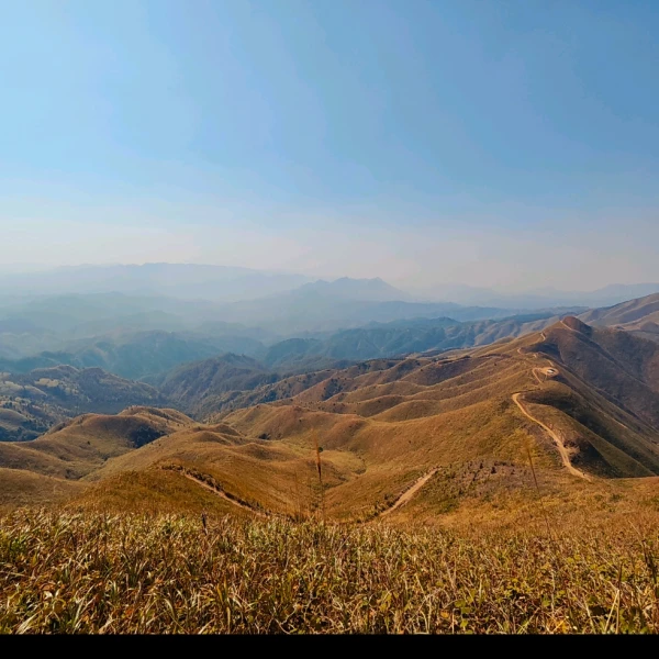 小橘子（只倾听，不建议）