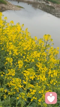 情绪，是生而为人的共同体验，与聪不聪明、学历高不高没有关系。 重要的是，我们‘看见’了它，而‘看见’本身，就具有疗愈的力量。配图