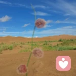 林的倾听的头像