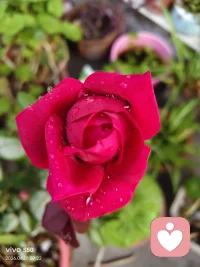 觉察是为了更好的认识自己，了解自己
​
来看看觉察的过程：
​第一层：觉察到自己的念头
第二层：觉察到自己的念头，感受

第三层：觉察到念头，感受，需求
第四层：觉察到念头，感受，需求，需求后的未尽事宜
​
​当你看见了它们，你就拥有了重新选择的机会配图