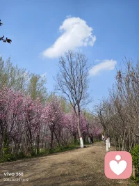 今日金句：

只有当你承认“我参与了这一切”，你才真正拥有了改变这一切的资格。配图