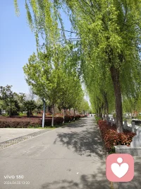 今日金句

你若还在忍耐，说明心中尚有对抗。
真正的放下，不是压抑情绪，而是不再与之争胜。
当冲突消融于觉察中，它便失去存在的理由。