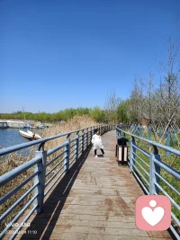 我的祈祷

愿我拥有无量的智慧与慈悲

愿我拥有无量的财富与健康

愿以利益无量的众生[合十][合十][合十]