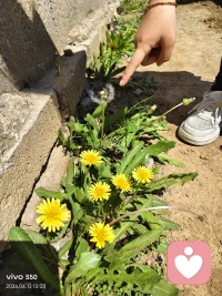 今日金句

真正的治愈：不是我懂你，而是我“看见”你却不评判你。