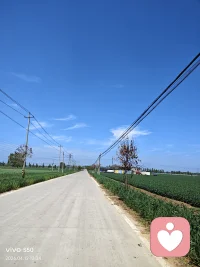 今日金句

你能给另一个人最好的礼物就是：
接纳、尊重和爱。配图