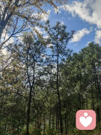 我不评判、不打断、不劝你坚强。
你只管把情绪倒给我，
难过、委屈、迷茫都没关系，
我安安静静听你说，
陪你把心里的乌云慢慢散开。配图