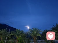 没关系，你可以允许自己在这个夜晚，暂时做一个电量不足的人。

月亮不会催促任何一朵云，窗外的风也允许树叶偶尔的飘落。你心里那片潮湿的雨季，不需要马上放晴——你可以慢慢撑伞，也可以蹲下来，听听雨滴落在心上的声音。

那些说不出的委屈、咽下去的眼泪、积攒的疲惫，都值得被自己轻轻接住。治愈不是要把破碎的地方修补如初，而是终于能够温柔地抚摸那些裂痕，对它们说：“辛苦了，你们都是我走过的路。”

明天太阳会照常升起，但今天，你可以只是安静地存在。像一棵经历过冬天的树，看似光秃，却在看不见的地方，悄悄酝酿着春天的力气。

🌙 慢慢来，你的愈合，不需要任何人的时间表。配图