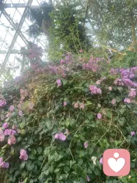 我们都在人海里慢慢自愈，
一边假装坚强，一边悄悄脆弱。
有些话没说出口，不是不在意，
而是怕一开口，就红了眼眶。

其实谁都想要一份踏实：
有人懂你的欲言又止，
有人陪你的颠沛流离，
不用刻意讨好，不用勉强微笑。

愿你后来遇见的人，
能接住你所有的情绪，
也能让你安心做自己。
不必逞强，不必说谎，
被人安稳爱着，就是最好的余生。配图