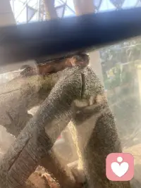 你已经很努力了，累了就歇一歇，没关系的。

那些说不出口的委屈，我都懂。

不用强迫自己开心，难过也是一种正常的情绪。配图