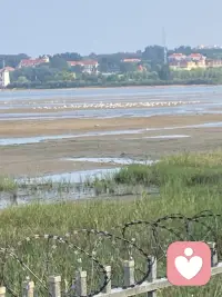 总有一天你会发现，
曾经以为跨不过去的坎，
走着走着，就轻了；
曾经放不下的人，
想着想着，就淡了。配图