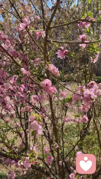 有些话你没说出口，不是无所谓，是太在乎，才不敢问。
你总在替别人找理由，却忘了好好心疼自己。
后来你变得懂事、克制、不纠缠，不是不爱了，是怕再受伤。配图