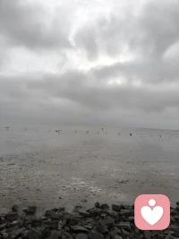 有时候会发现忙了一天好像也没啥结果，但是也忙了一天，生活就是这样看着没有啥变化有时候我们的心智也许在不停的变配图