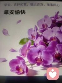记得住的，都是感情
合得来的，都是缘分
处的好的，都是知己