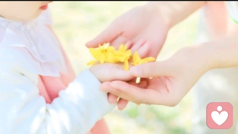 真正的亲子关系，从来不是控制，而是“看见”与“尊重”