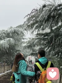 很多时候，我们不是不够坚强，
只是太久没被好好安慰过。
 
允许自己脆弱，允许情绪流动，
不必硬撑，不必假装没事。
你已经很努力了，真的。
慢慢来，会好的。🌿配图