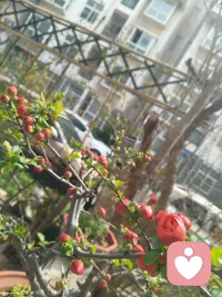 一身清贫，不是穷困潦倒，
而是我选择清清白白、干干净净做人。
不攀附，不将就，不违心，不谄媚。
繁华再热闹，我自有我的风骨；
世界再喧嚣，我守我的坦荡。
这一声唱到最后，不是卑微，
是我对自己人生最坚定的呐喊：
我虽平凡，却一身清白，
心有光明，何惧人间荒凉。配图