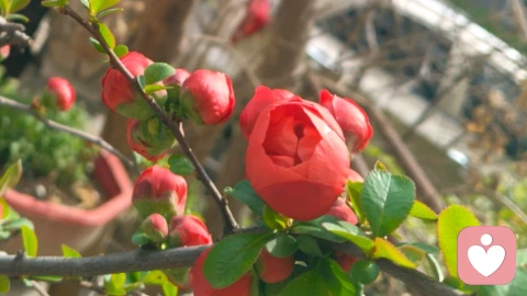 我要的是让自己活在光里，而非伪精致的壳中