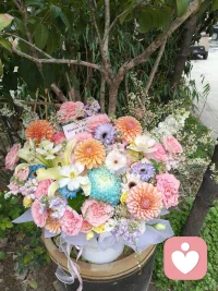 理智说它的美丽没有错。感性上总感觉既然拒绝了，就不要收下了吧。快递小哥不愿扔垃圾桶，把它放在了门口。它好美，怎能浪费，送到佛堂吧，借花献佛。还是要谢谢它，一嗅芬芳。配图