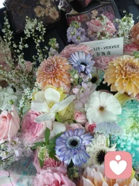 理智说它的美丽没有错。感性上总感觉既然拒绝了，就不要收下了吧。快递小哥不愿扔垃圾桶，把它放在了门口。它好美，怎能浪费，送到佛堂吧，借花献佛。还是要谢谢它，一嗅芬芳。配图