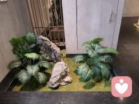 好巧，恰逢师父生辰，满心欢喜真的是借花献佛了。借一束鲜花，愿师父岁岁安康，福禄寿喜常伴身旁，顺遂无忧，喜乐绵长。感恩一路指引与相伴，惟愿往后岁月，平安喜乐，万事皆如意，生辰快乐，岁岁皆胜意。配图