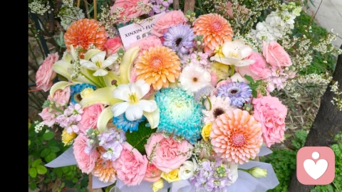 把焦虑“松绑”,给情绪找个温柔的出口