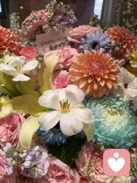 慢慢生活，慢慢自愈。
不慌不忙，不内耗，不纠结。
允许一切发生，也允许自己偶尔脆弱。
情绪稳定，不是没有情绪，而是懂得安放情绪。
好好爱自己，比什么都重要。配图