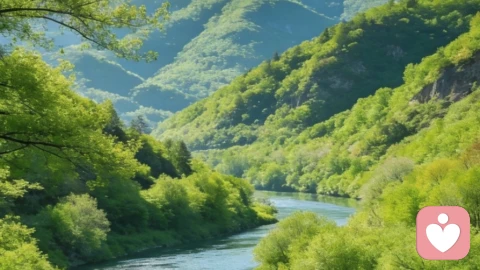 往后余生，专注自己，深爱自己