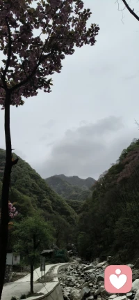 道心清静，不犯天条
不泄天机，不扰因果
守戒行善，合道安然