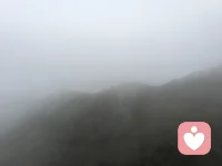 归途
 
云深不知处，却藏来时路。
风轻寻旧影，心定归何处。
青山常作伴，明月不相负。
浮生多辗转，初心自如故。

2026.4.13，嵩山独行有感，
刹为千古刹，山为万古山。
心定修行路，传法度有缘。
晨钟醒尘梦，暮鼓静禅关。
一灯破千暗，慈航渡人间。