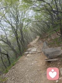 濒死般撑不住的时刻，
只是出于生命本能，抓住浮木救自己。
那些情绪压抑不住，
哪怕只换来沉默已读，
也不能让自己在黑暗里沉下去。